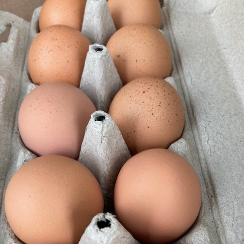 Farm Fresh Eggs- 1 dozen