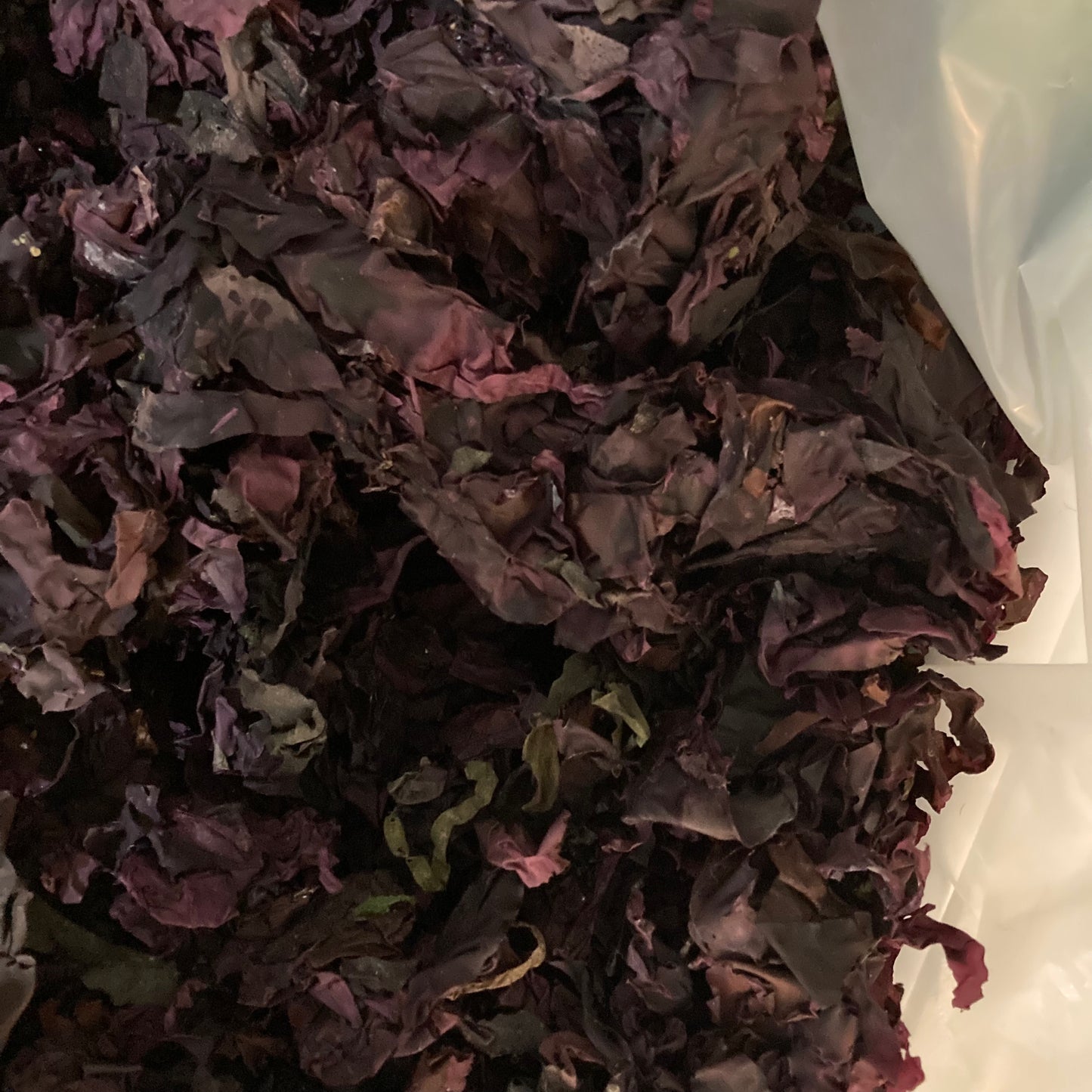 Dark Harbour Dulse