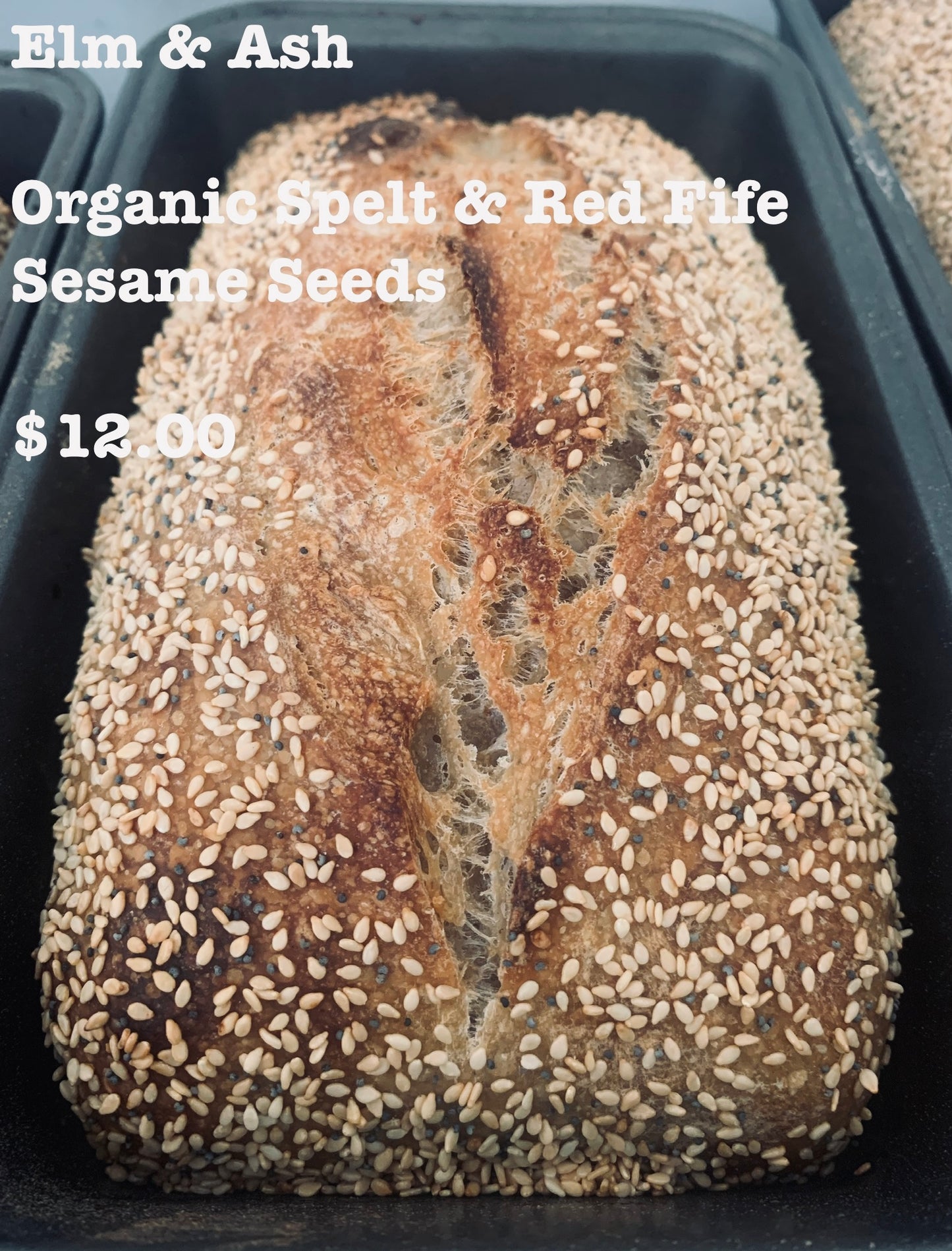 Danish Sourdough (Elm & Ash)