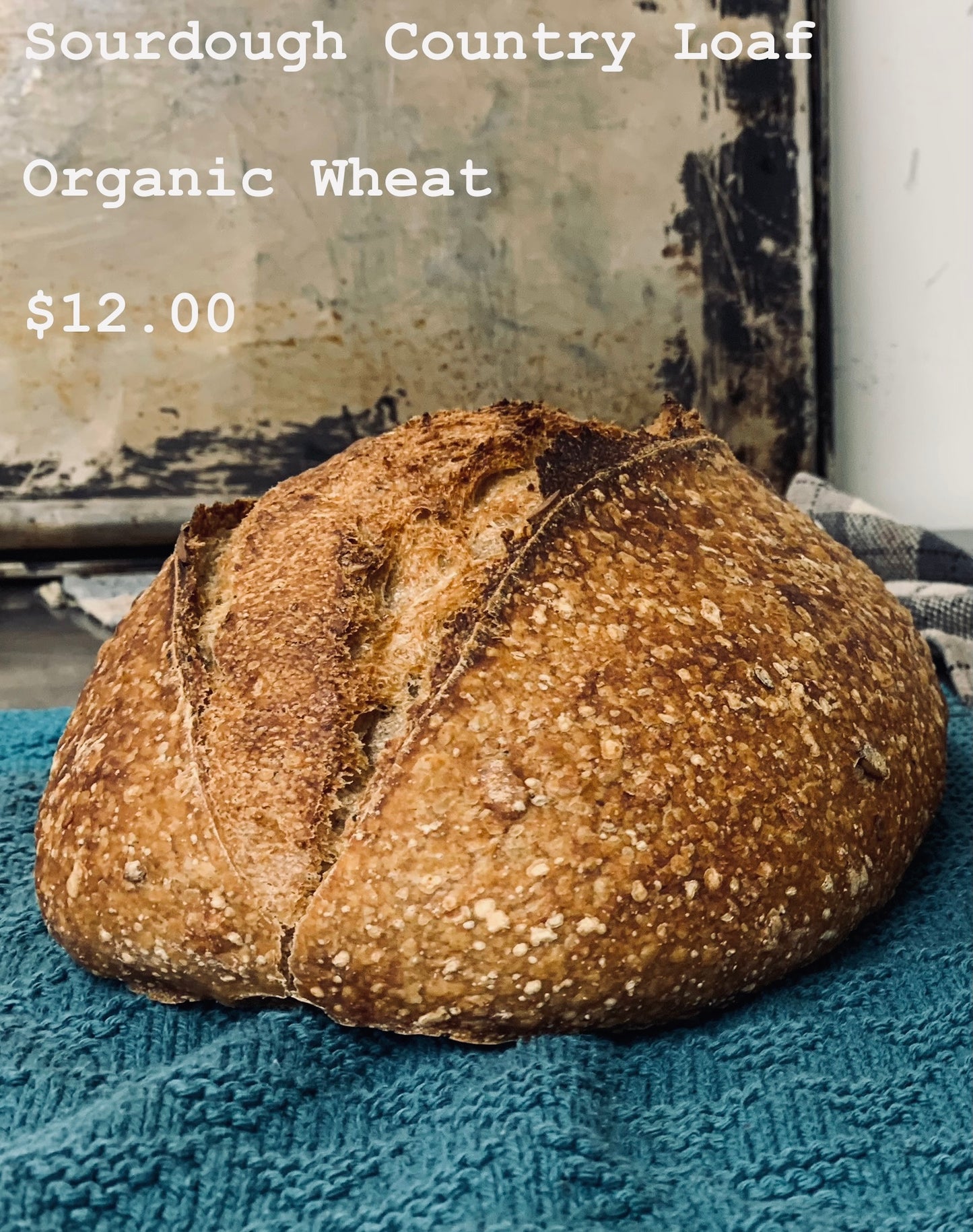 Danish Sourdough (Elm & Ash)