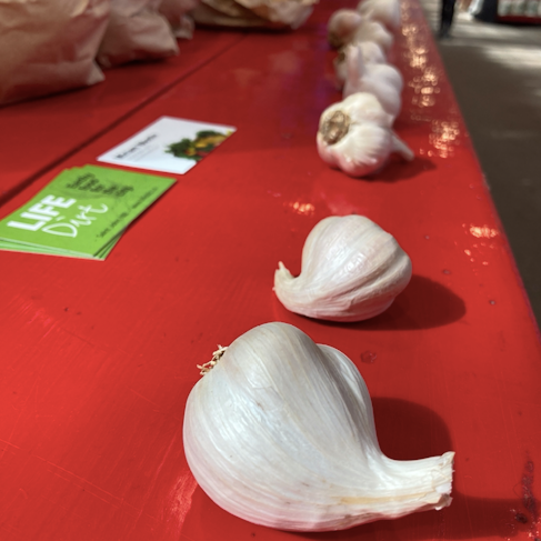 Garlic Bulb (Local No-spray)