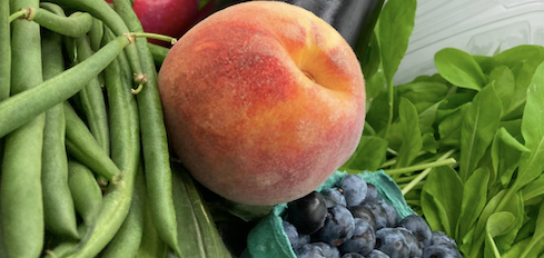 Storing Your Fresh Produce