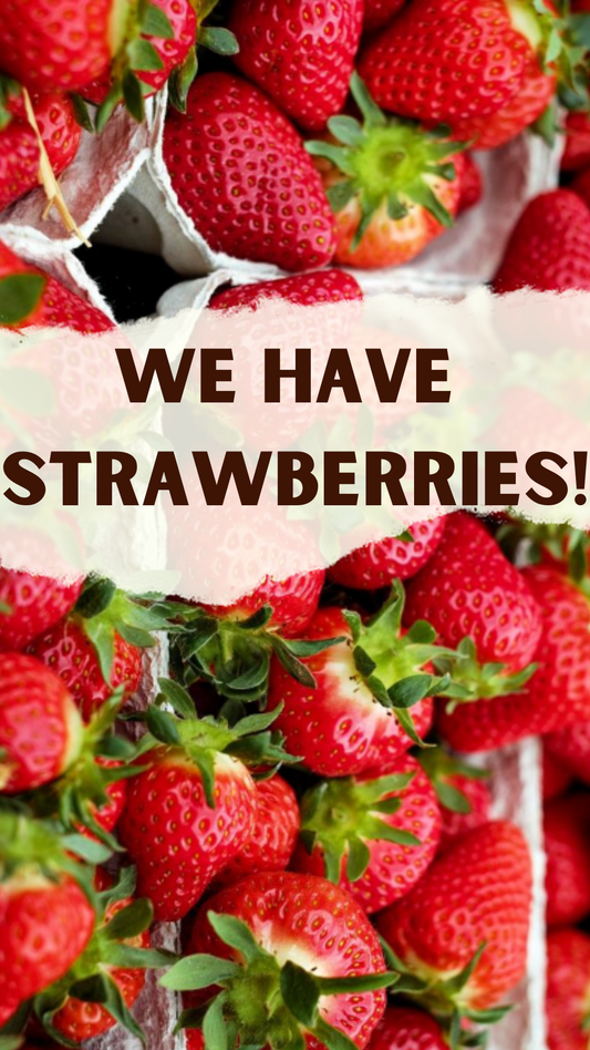 Strawberries- Quart (Local NS)