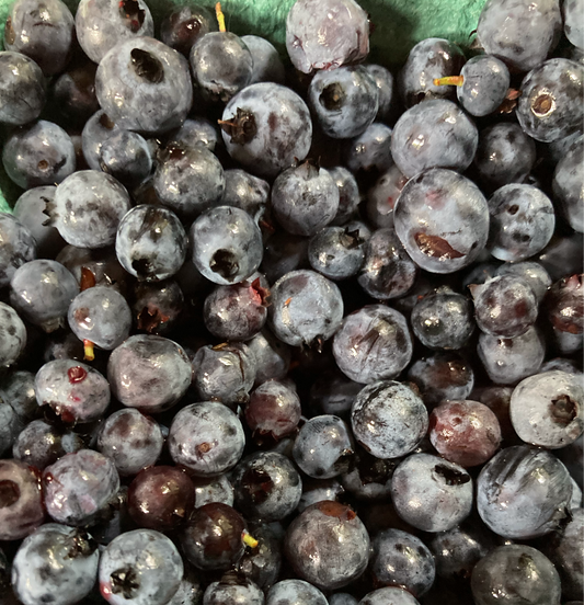 Frozen Wild Blueberries, No-Spray  (10lbs)