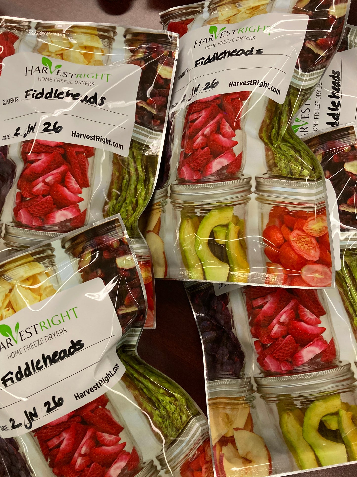Freeze Dried Fiddleheads