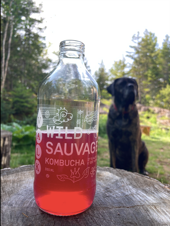 Kombucha 355mL bottle